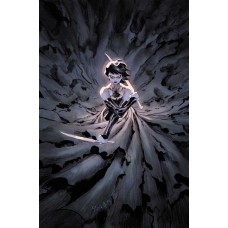 ABSOLUTE CASSANDRA CAIN THE SHADOWS HAND #1 (ONE SHOT) CVR B MATIAS BERGARA CARD STOCK VAR (Offered again FOC 8pm CDT 8/24/2026)