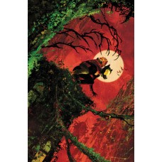 CATWOMAN #92 CVR A SEBASTIAN FIUMARA (BATMAN BAD SEEDS)