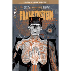 UNIVERSAL MONSTERS FRANKENSTEIN B&W SPECIAL #1 (OF 2) CVR A MICHAEL WALSH