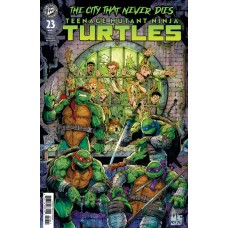 TEENAGE MUTANT NINJA TURTLES #23 VARIANT C (VENTURA)